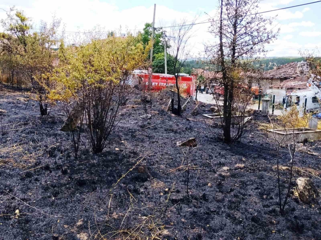 Emet’te mezarlıkta çıkan yangında 10 kabir zarar gördü