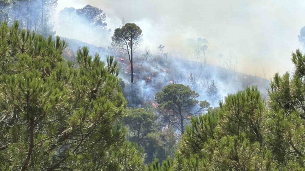 Balıkesir’deki yangın tekrar yayılıyor