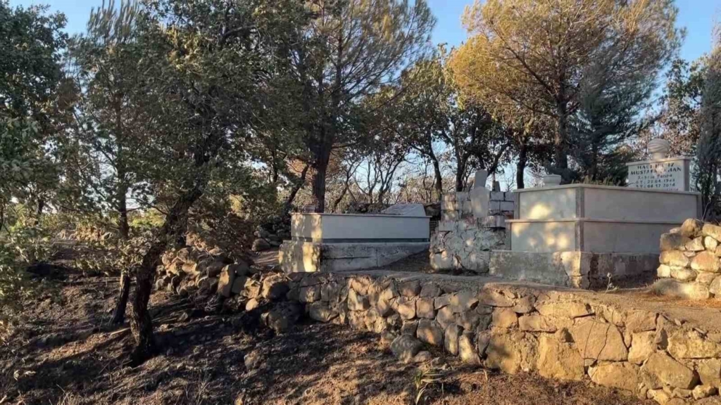 Balıkesir’de acı tablo.. Yangın mezarlığı yok etti