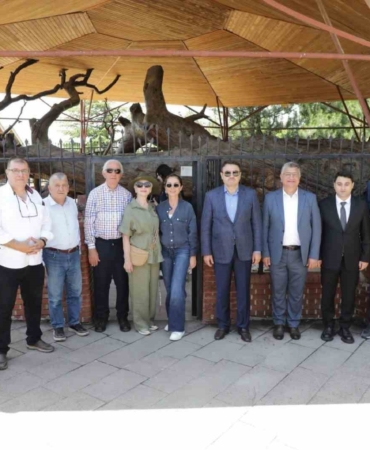 ’Yeşil Vatan Buluşmaları’ kapsamında Domaniç’in tarihi ve doğal değerleri tanıtıldı