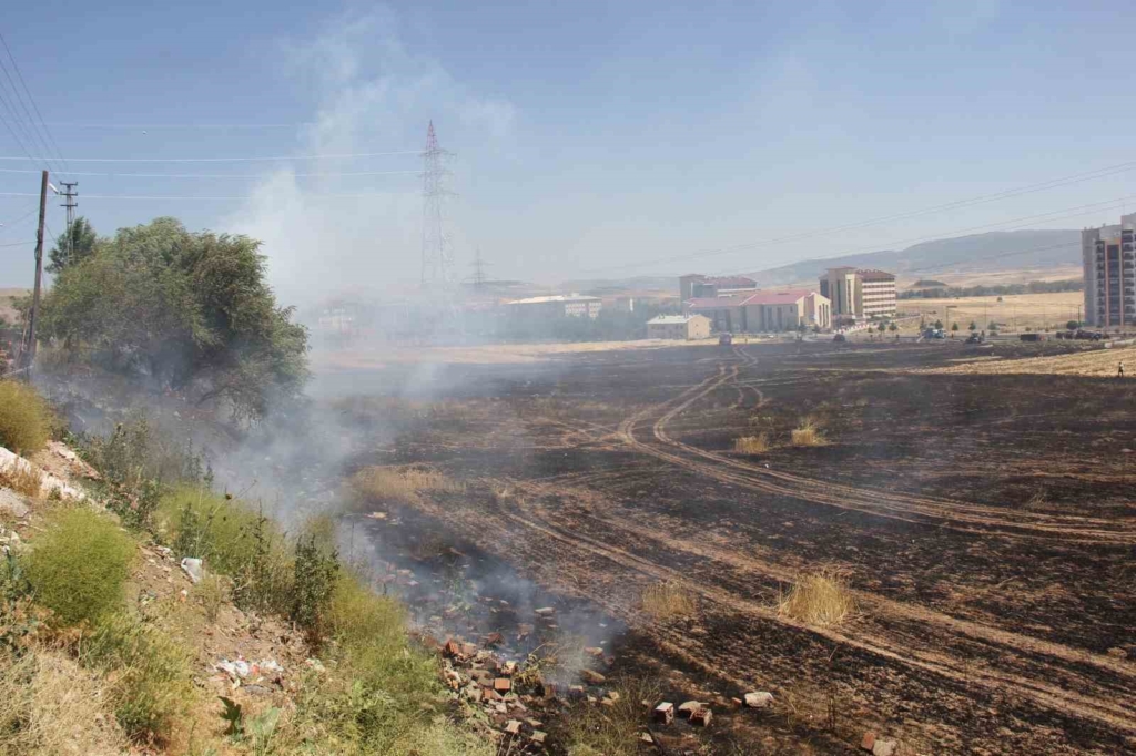 Buğday tarlasında yangın çıktı, dumanlar trafik kazasına neden oldu: 1 yaralı