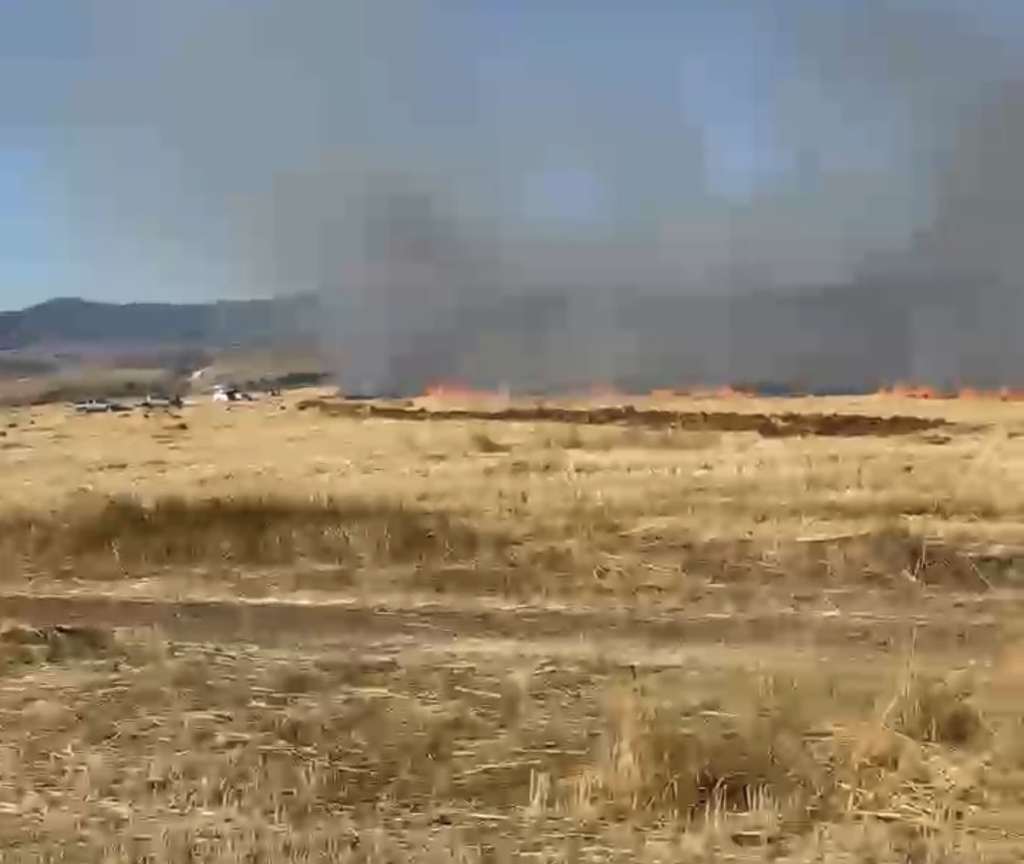 Eskişehir’de tarım arazisinde yangın paniği