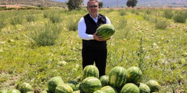 Bilecik’te 62 bin tonluk karpuz hasadı bekleniyor