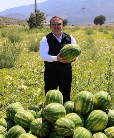 Bilecik’te 62 bin tonluk karpuz hasadı bekleniyor