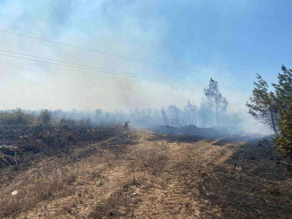 Çanakkale’de tarım arazisinde yangın
