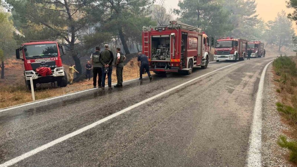 Balıkesir’deki yangın sebebiyle Ayvalık Bergama yolu trafiğe kapatıldı