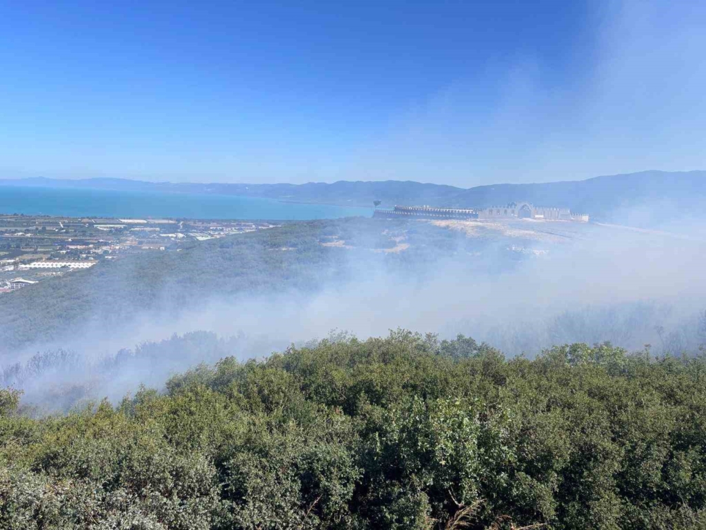 Bursa’da ormanlık alanda yangın çıktı