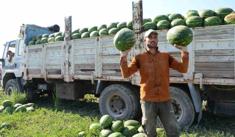 Mevsimlik işçilerin karpuz mesaisi