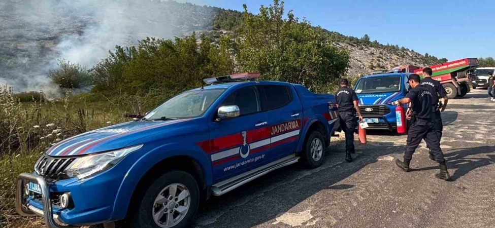 Elektrik direğinden çıkan kıvılcım orman yangınına sebep oldu