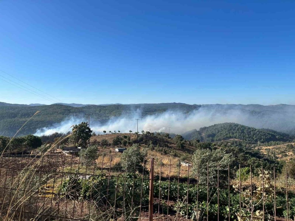 Balıkesir’deki yangın sebebiyle Ayvalık Bergama yolu trafiğe kapatıldı