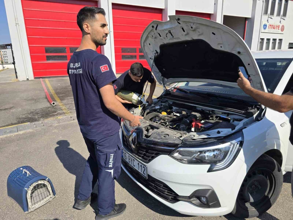 Otomobilin motorunda ilçe ilçe gezdi