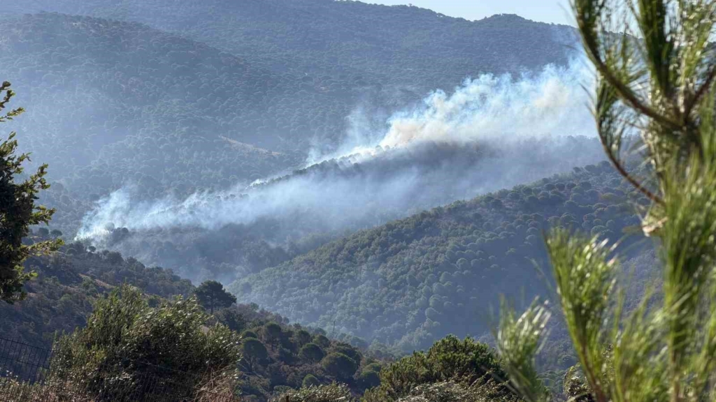 Gömeç, Ayvalık ve Bergama’da binlerce hektar ağacı kül eden yangın kontrol altına alındı