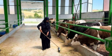 Gediz’de 12 milyon TL’lik büyükbaş besi işletmesi faaliyete geçti