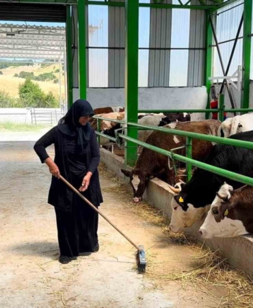 Gediz’de 12 milyon TL’lik büyükbaş besi işletmesi faaliyete geçti