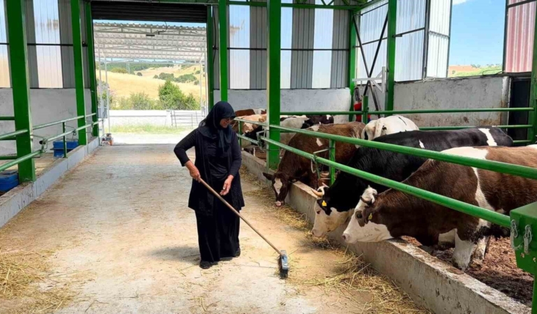 Gediz’de 12 milyon TL’lik büyükbaş besi işletmesi faaliyete geçti