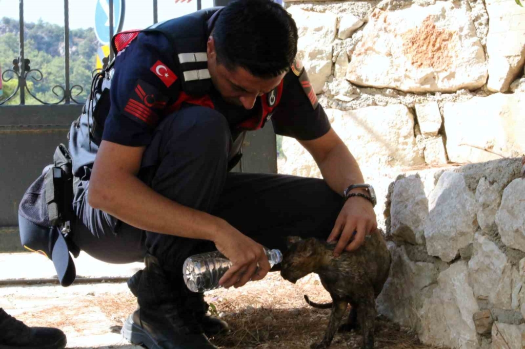 Antalya Valisi Şahin: "Kumluca’da yangın sebebiyle 50 ev tedbir amaçlı boşaltıldı"