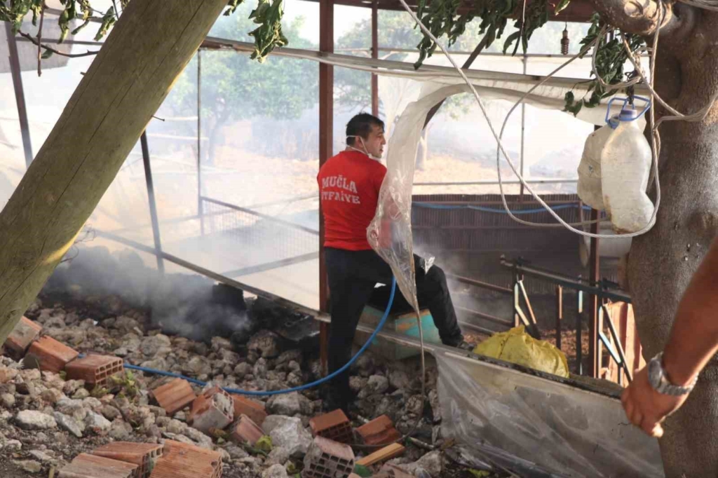 Yangın yerleşim yerine dayandı, vatandaşlar hayvanlarını alevlerin arasından kurtardı