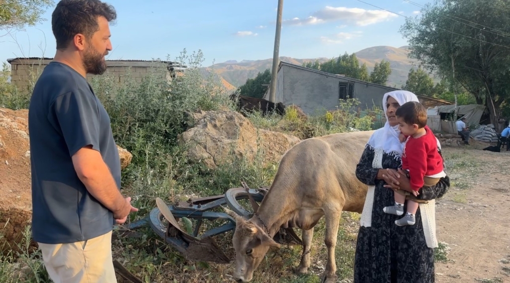 İhlas Haber Ajansı’nın haberi Ayni teyzenin yüzünü güldürdü: İnekler kendisine ulaştı
