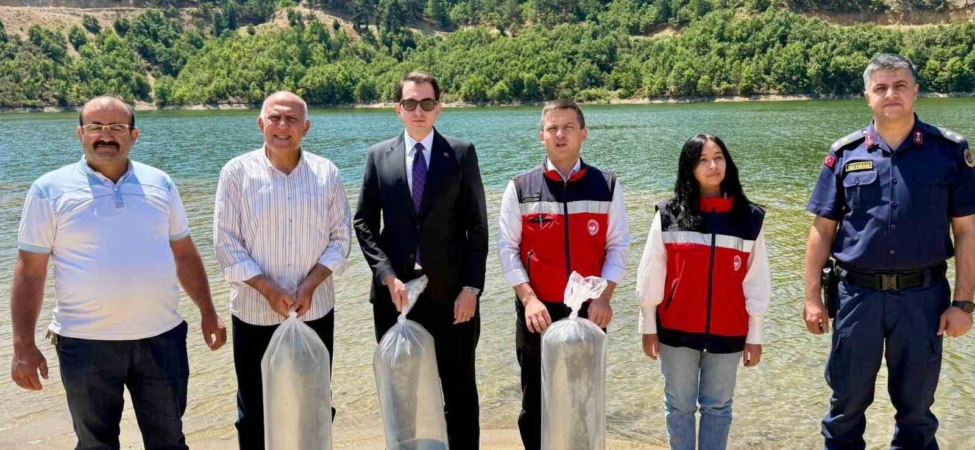 Hisarcık Hasanlar Barajı’na 80 bin sazan yavrusu bırakıldı