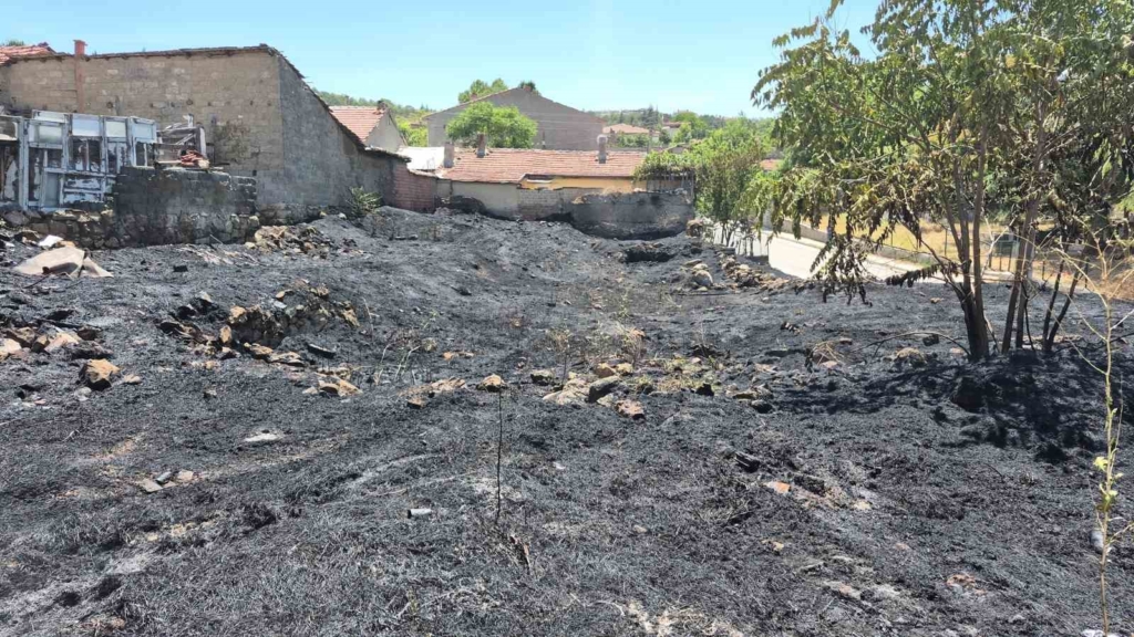 Eskişehir’de otluk alanda çıkan yangın mahalleliyi korkuttu