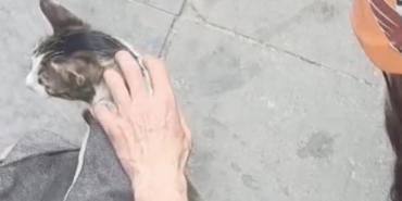 Dar alanda sıkışan kediyi DAK ekipleri kurtardı