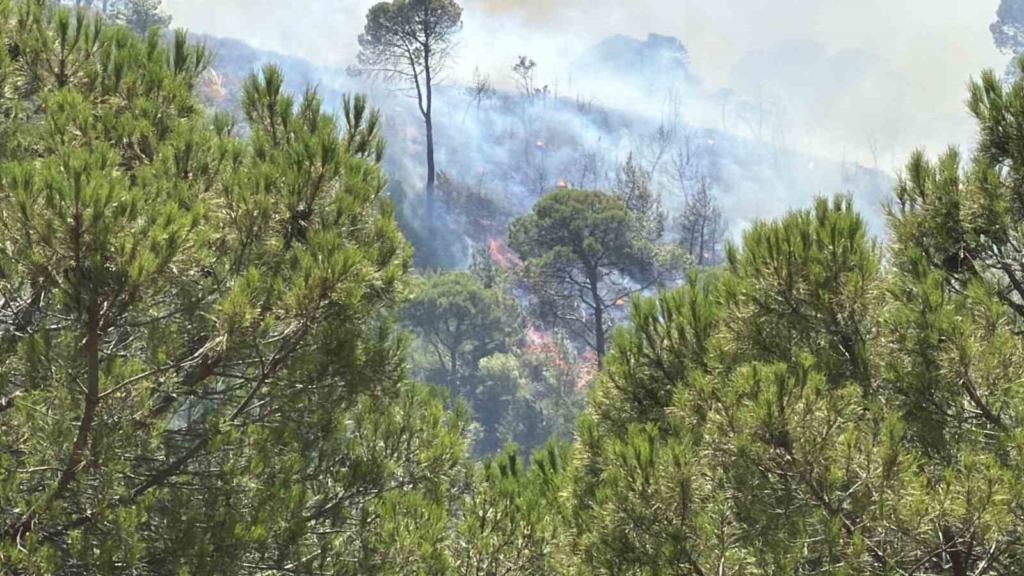 Balıkesir’deki yangın tekrar yayılıyor