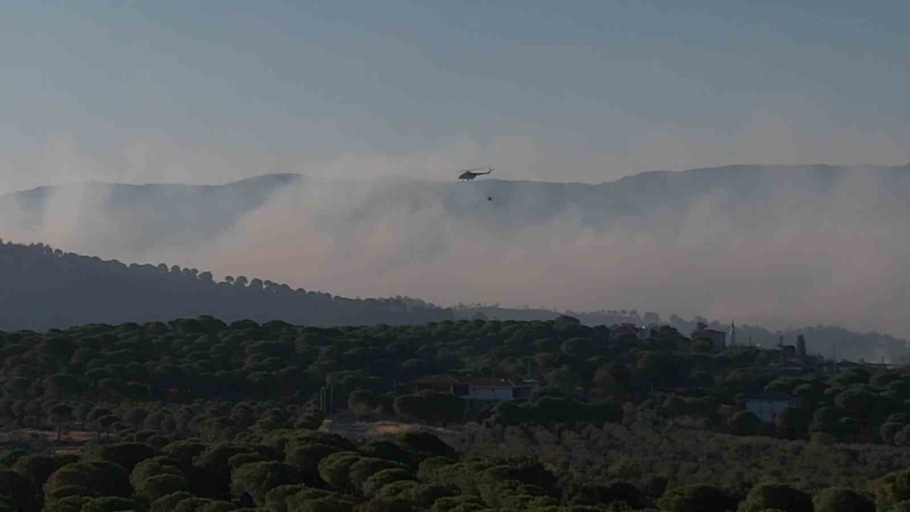 Balıkesir’de acı tablo.. Yangın mezarlığı yok etti