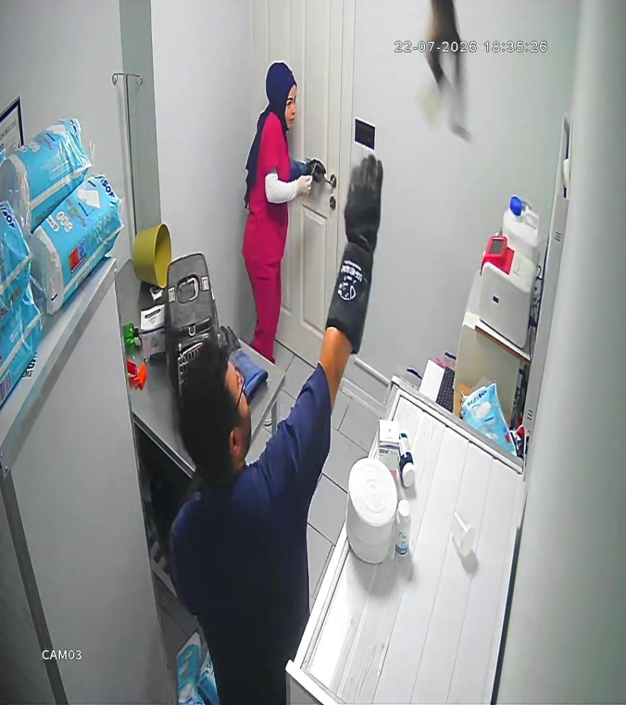 Veterinerde deprem etkisi yapan kedi Türkiye’nin gündeminde