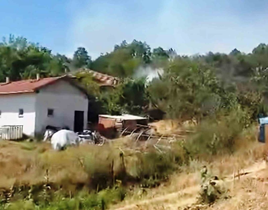 Emet’teki yangın kontrol altına alındı, ormana sıçraması önlendi