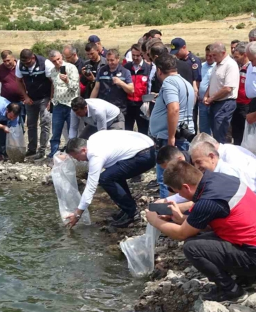 Tavşanlı göletlerine 123 bin yavru sazan bırakıldı