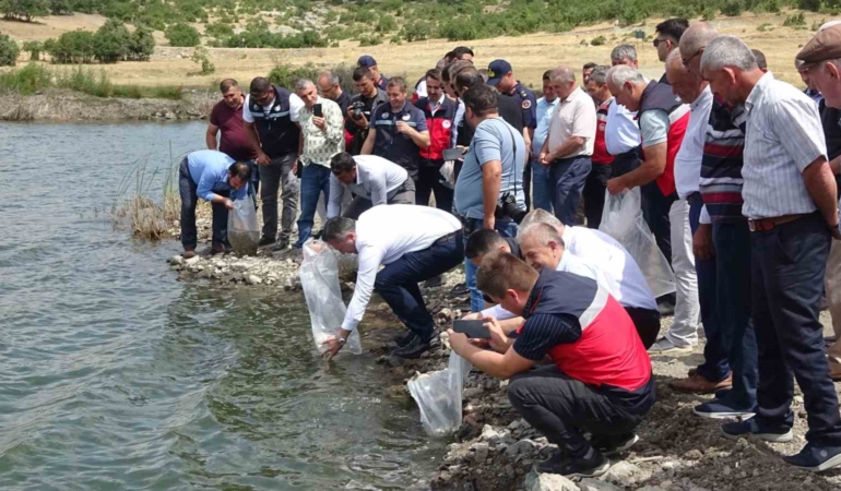 Tavşanlı göletlerine 123 bin yavru sazan bırakıldı