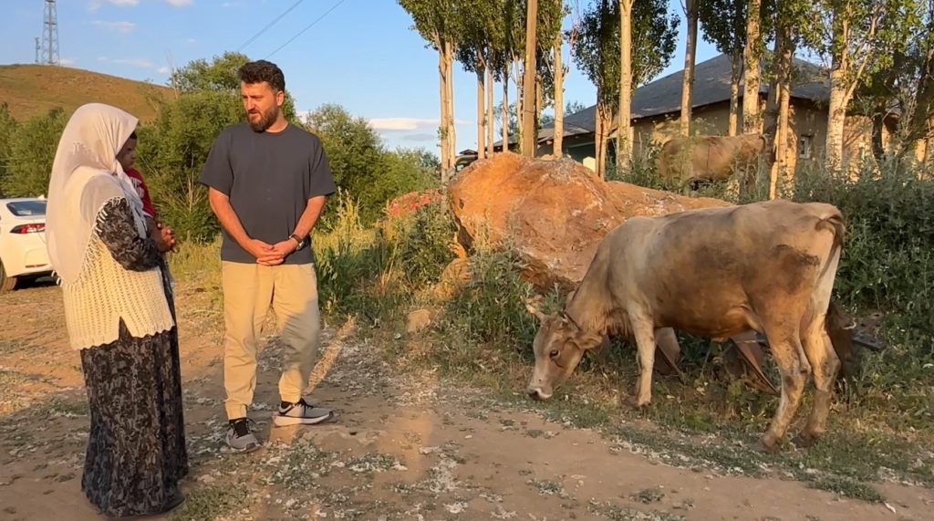 İhlas Haber Ajansı’nın haberi Ayni teyzenin yüzünü güldürdü: İnekler kendisine ulaştı