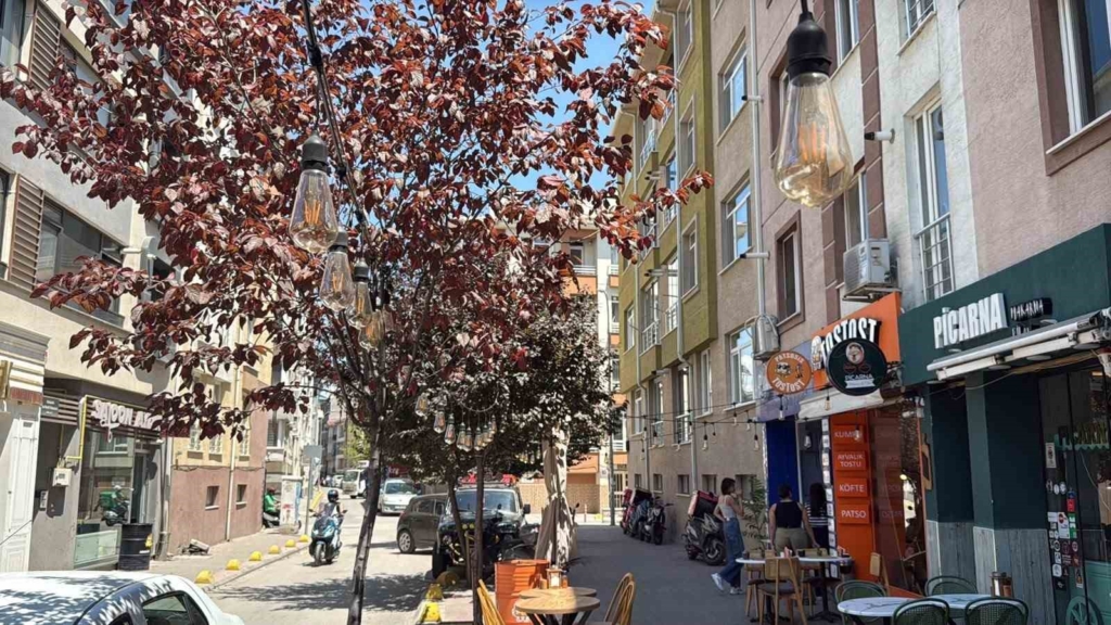 Sokaktaki ampulü söküp götürdüler