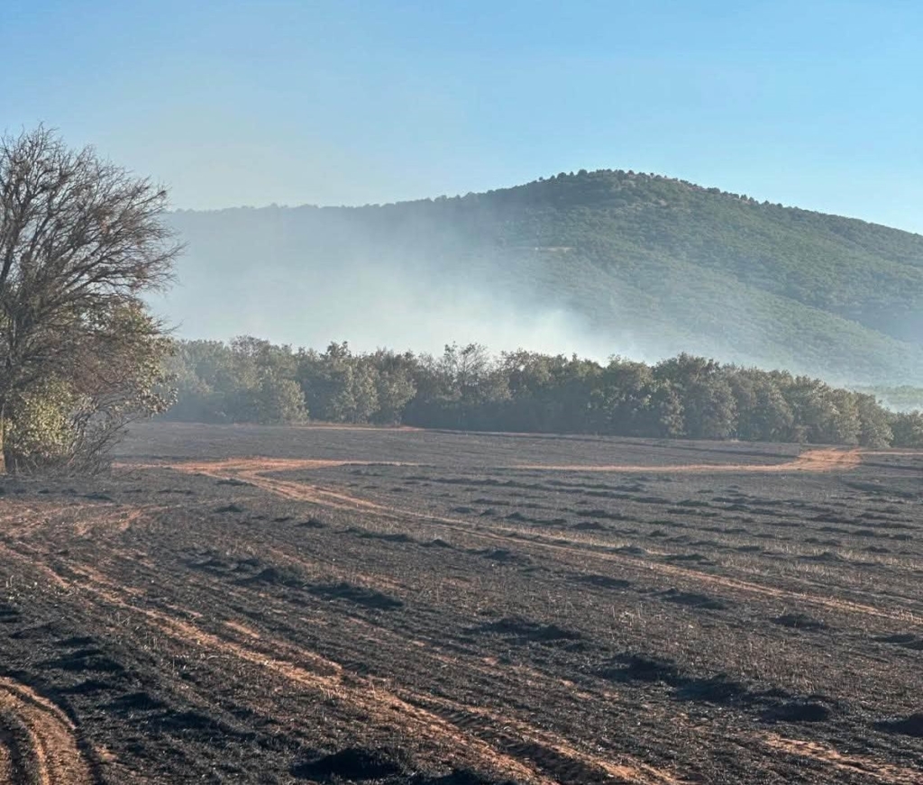 Kütahya Altıntaş’taki arazi yangını kontrol altına alındı