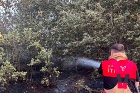 Kütahya OSB İtfaiyesi, Beşkarış ve Aydınlar köyü yangınlarında görev aldı