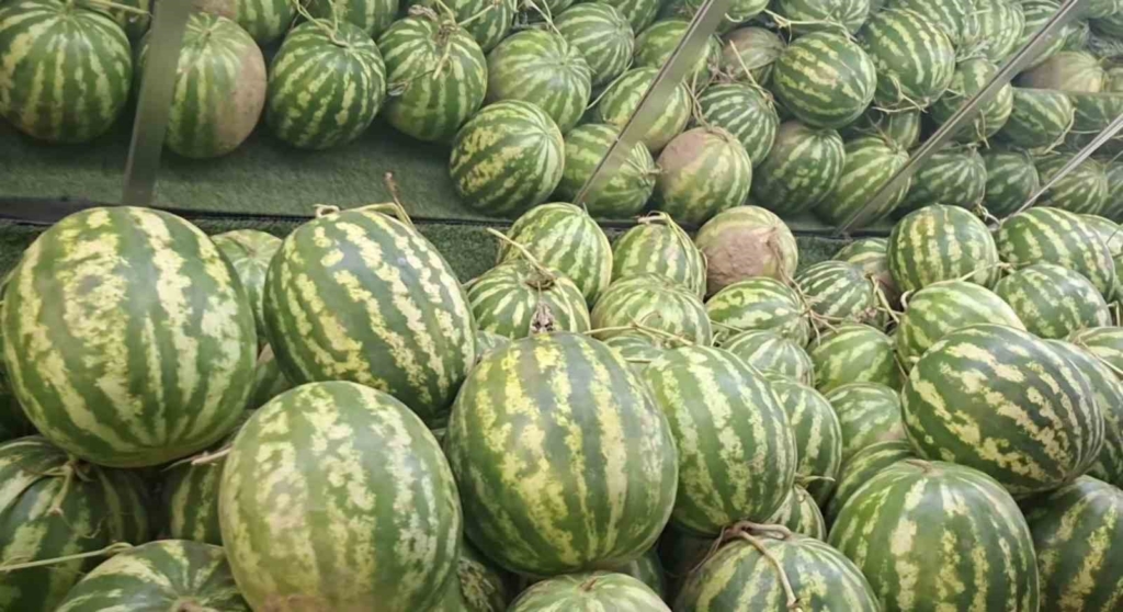 Kütahyalı manavın eliyle karpuz soyma videosu sosyal medyada viral oldu