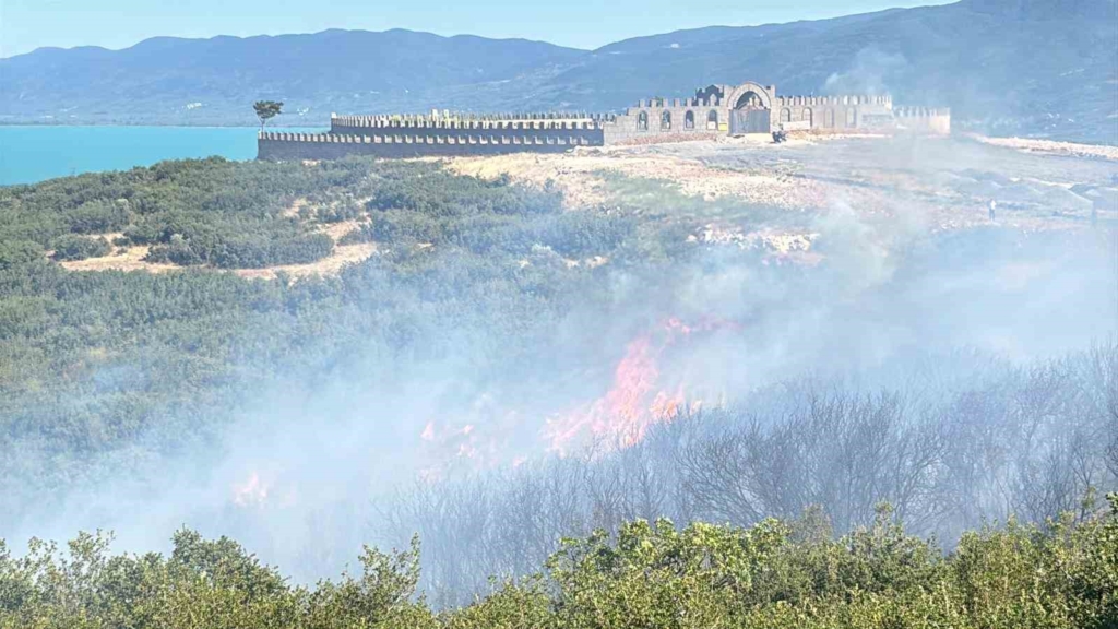 Bursa’da ormanlık alanda yangın çıktı