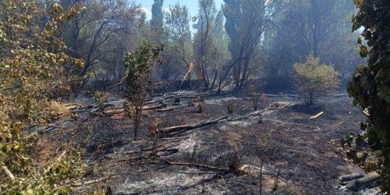 Ot yangını paniğe neden oldu