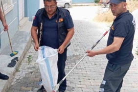 Eve giren yılan paniğe neden oldu