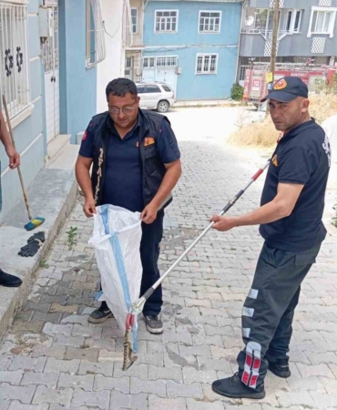Eve giren yılan paniğe neden oldu