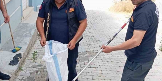 Eve giren yılan paniğe neden oldu
