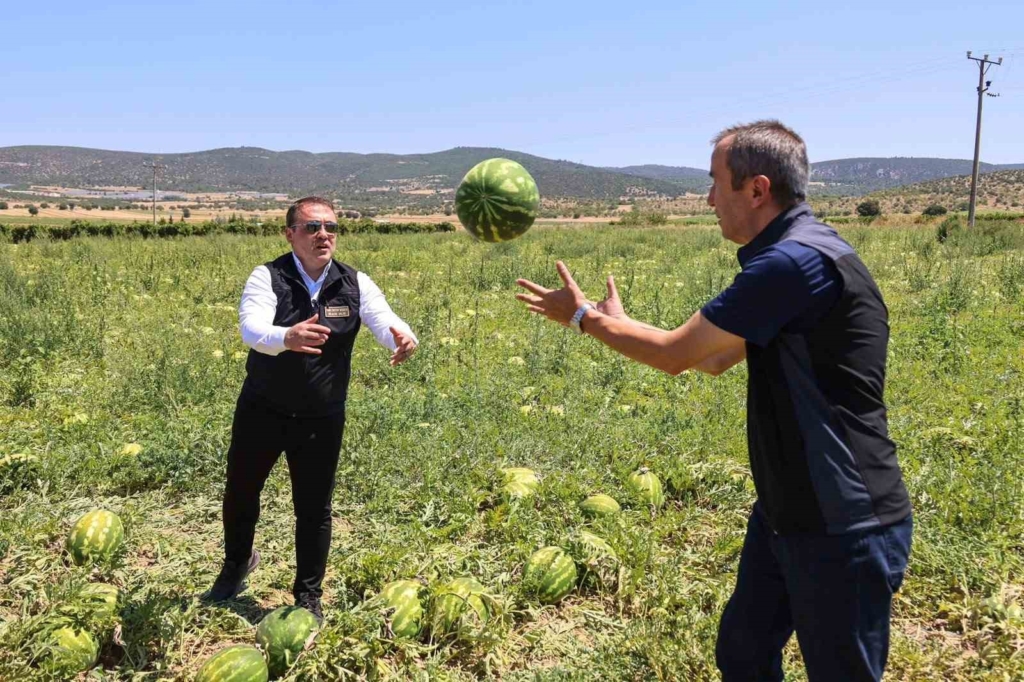 Bilecik’te 62 bin tonluk karpuz hasadı bekleniyor