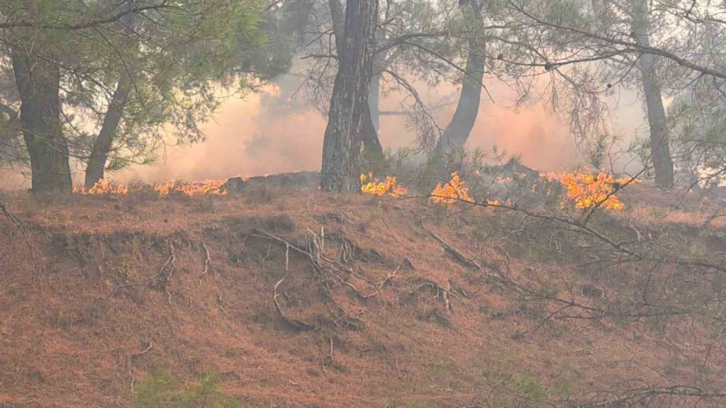 Balıkesir’deki yangın Bergama sınırına ulaştı, gazeteciler alevler arasından zor kurtuldu