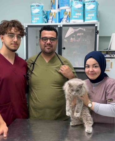 Veterinerde deprem etkisi yapan kedi Türkiye’nin gündeminde