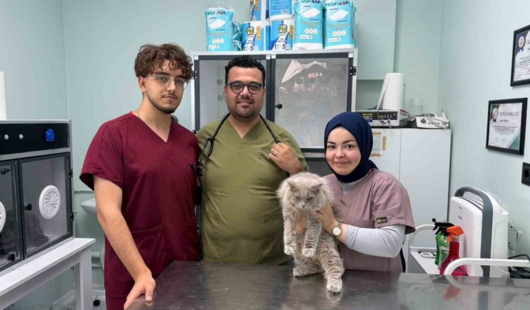 Veterinerde deprem etkisi yapan kedi Türkiye’nin gündeminde