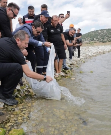 Kütahya’da Porsuk Barajı Göleti’ne 107 bin 500 balık yavrusu bırakıldı