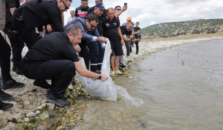 Kütahya’da Porsuk Barajı Göleti’ne 107 bin 500 balık yavrusu bırakıldı