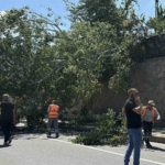 Eskişehir’de devrilen ağaç kara yolunu kısmen trafiğe kapattı