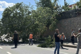 Eskişehir’de devrilen ağaç kara yolunu kısmen trafiğe kapattı