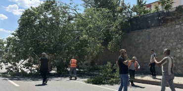 Eskişehir’de devrilen ağaç kara yolunu kısmen trafiğe kapattı